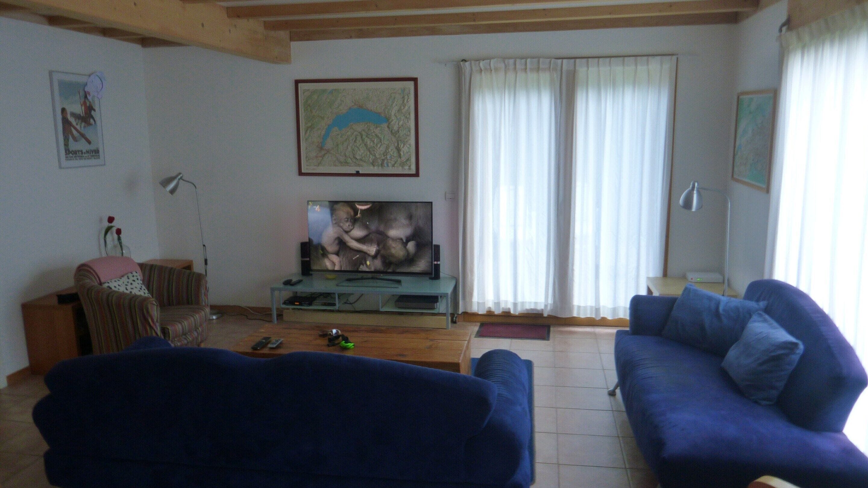 Chalet | Ruang keluarga | Pemutar DVD
