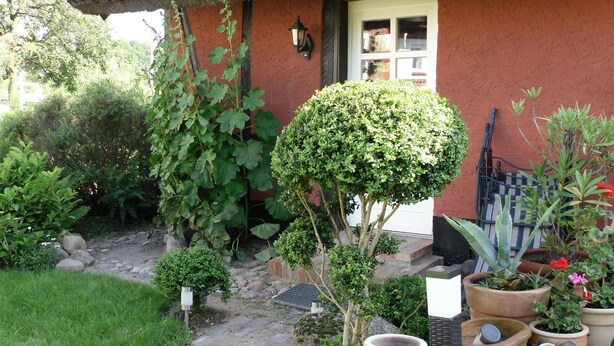 Unclassified image, 1 of 19, button - Cozy Mansion in Artist Studio in Steffenshagen With Terrace (Steffenshagen)