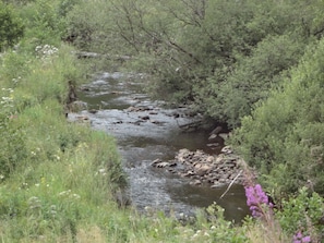 Unclassified image, 3 of 33, button
