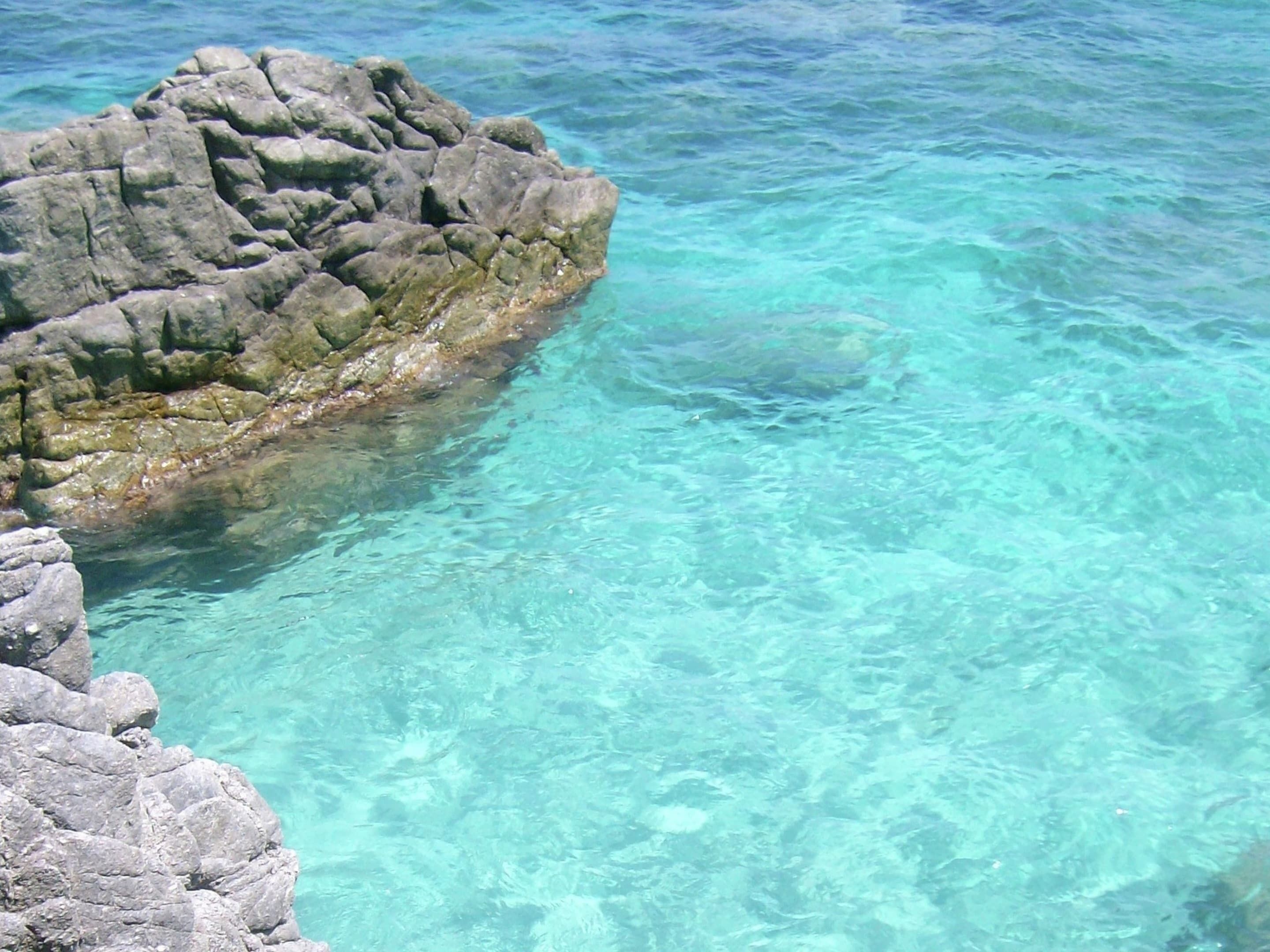 A rocky shoreline with clear turquoise water.