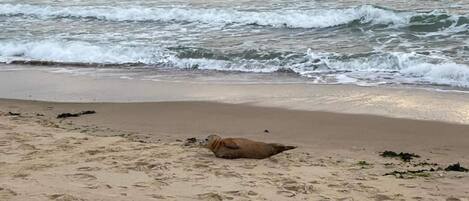 Lejlighed | Udsigt fra overnatningsstedet