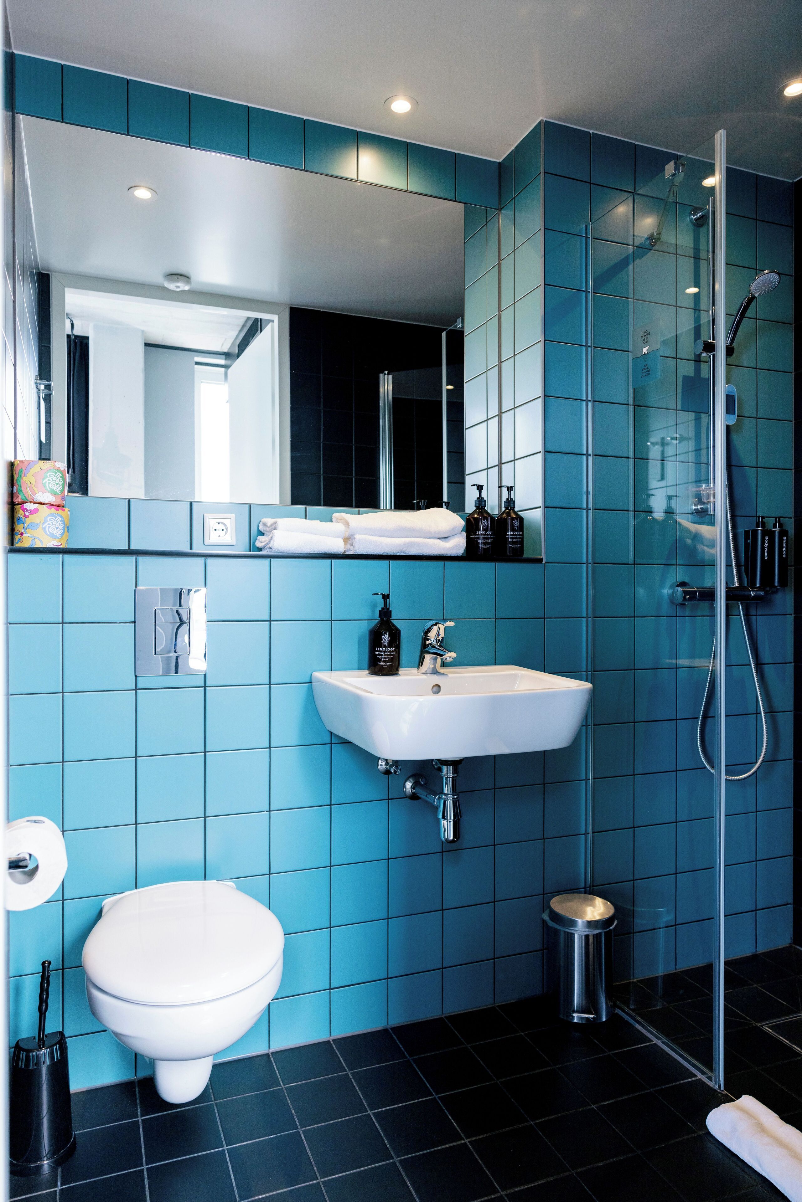 shower, free toiletries, hair dryer, towels