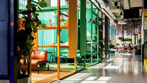 Un intérieur avec des meubles verts et orange, une plante en pot et une cloison en verre.