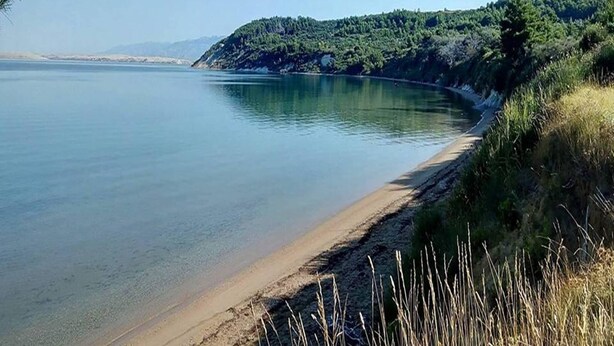 A calm lake with a sandy beach and a forested hill in the background. - Apartment in Ljubac Near the Sea (Razanac)