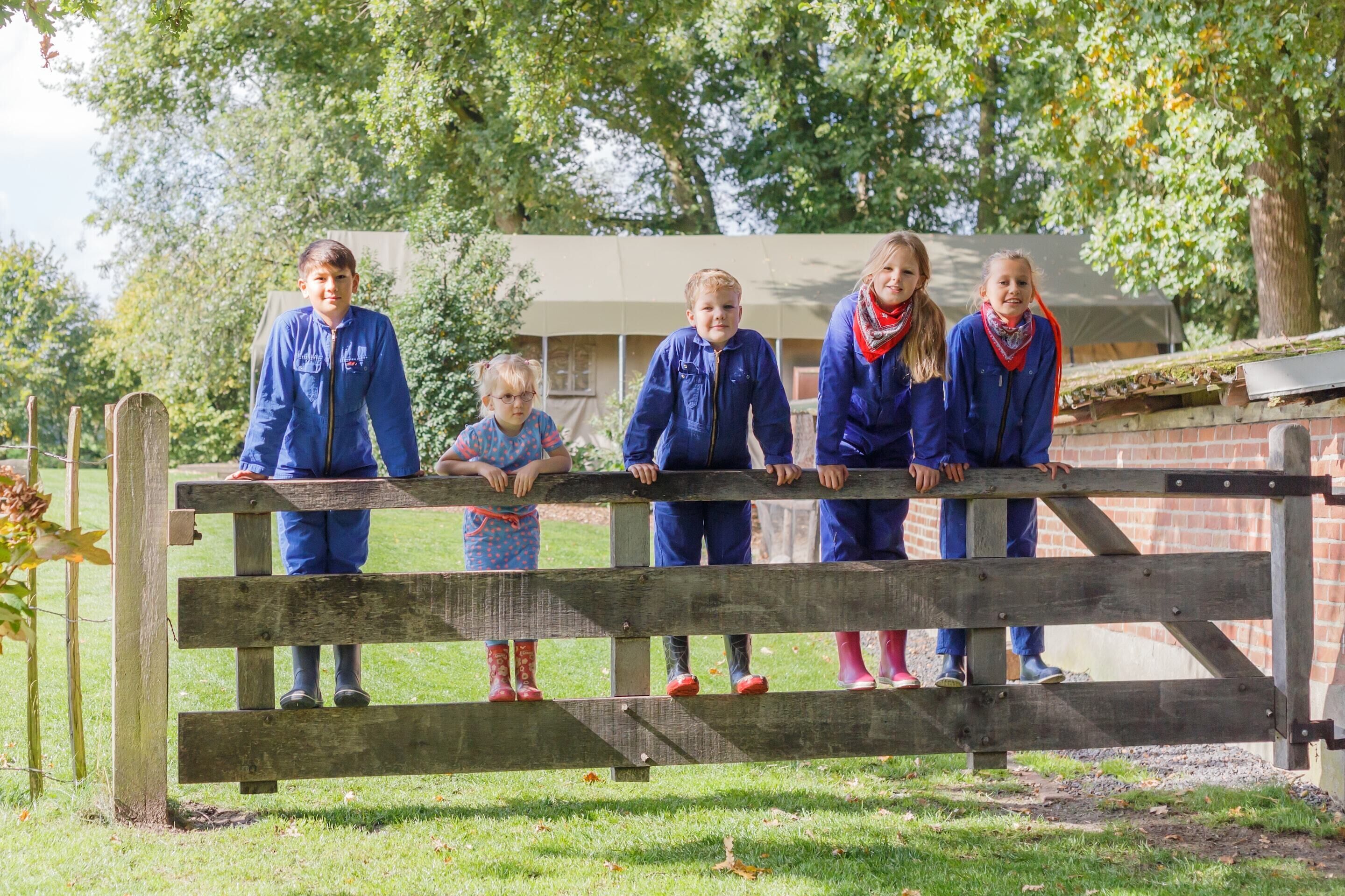 Tent | Uitzicht vanuit accommodatie