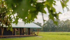 A wooden structure with a green roof, surrounded by a grassy field and trees. - Tent Lodge With Dishwasher in Twente (Haaksbergen)