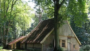 Tent | Uitzicht vanuit accommodatie