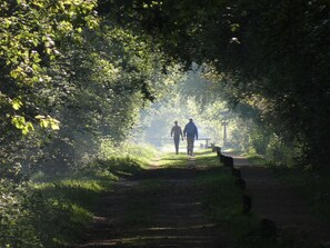 Tenda | Pemandangan dari properti