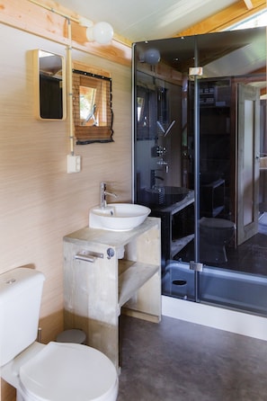 A modern bathroom with a glass shower enclosure, a wooden vanity, and a white toilet.