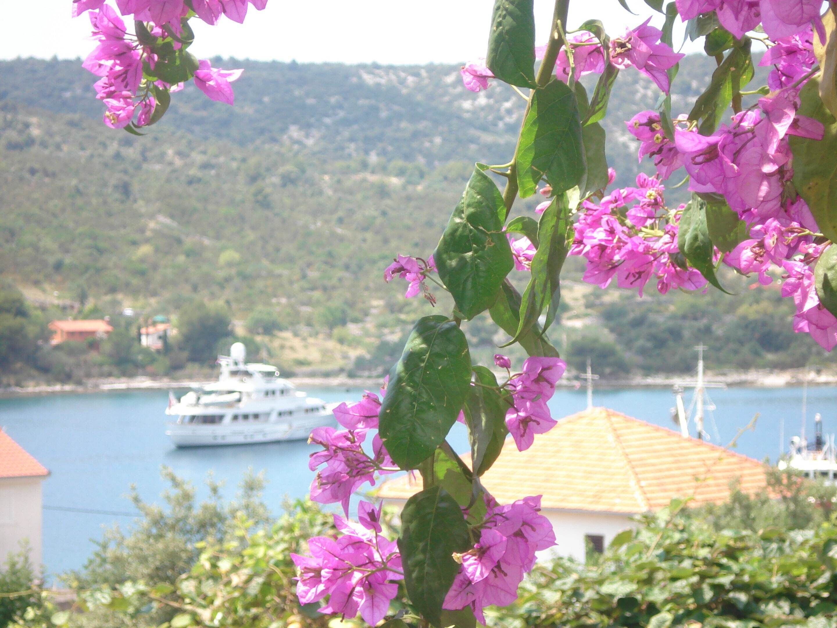 A boat on a body of water with a building in the background.