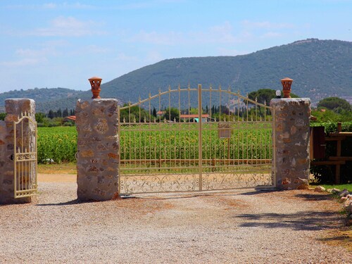 Cozy Holiday Villa in Grosseto With Swimming Pool