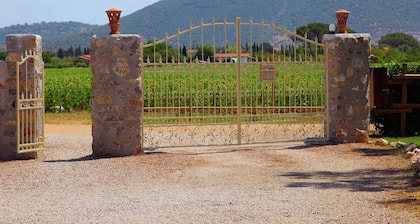 Cozy Holiday Villa in Grosseto With Swimming Pool