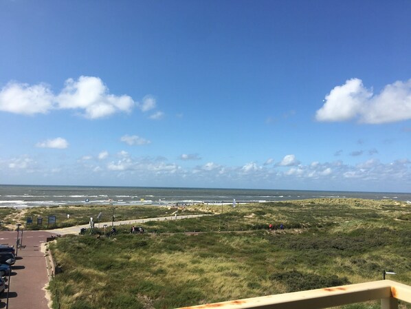 Vista desde la propiedad