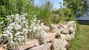 A garden with white flowers, green grass, and a stone wall. - Ferienhaus vor den Toren der Insel Poel (Hornstorf)
