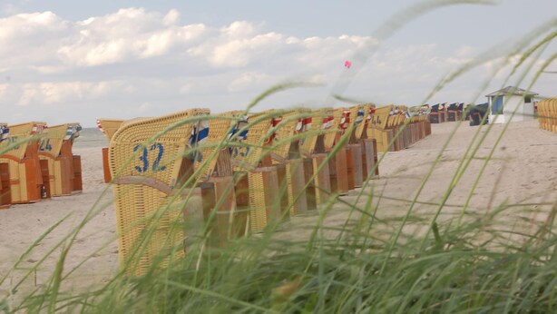 Beach huts numbered 32, 33, and 34 with a sandy beach and overcast sky in the background. - Ferienhaus vor den Toren der Insel Poel (Hornstorf)