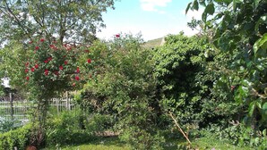 Um jardim com muro de pedra, plantas em vasos e diversas árvores e arbustos.
