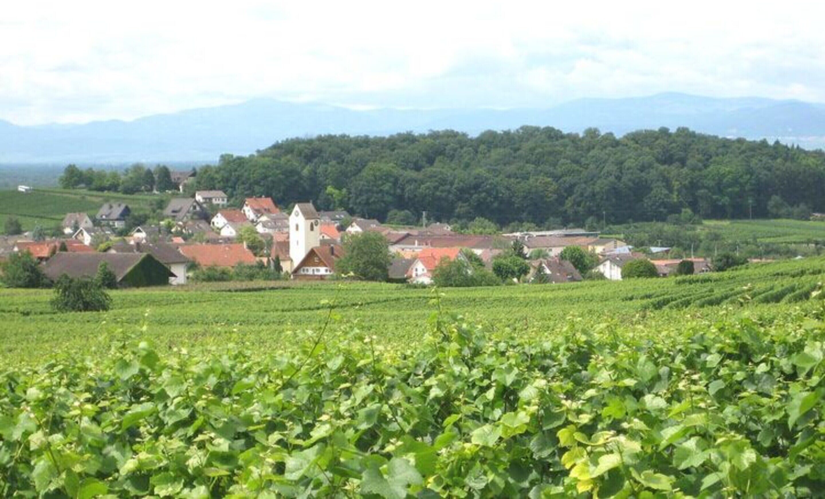 A rural village with houses and a church, surrounded by green fields and mountains in the background.