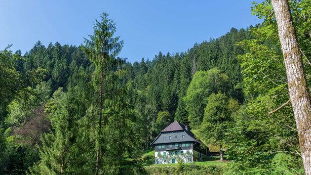 A house surrounded by dense forest, with a clear view of the surrounding greenery and a sloped landscape. - Apartment in Neukirch With Terrace (Furtwangen)