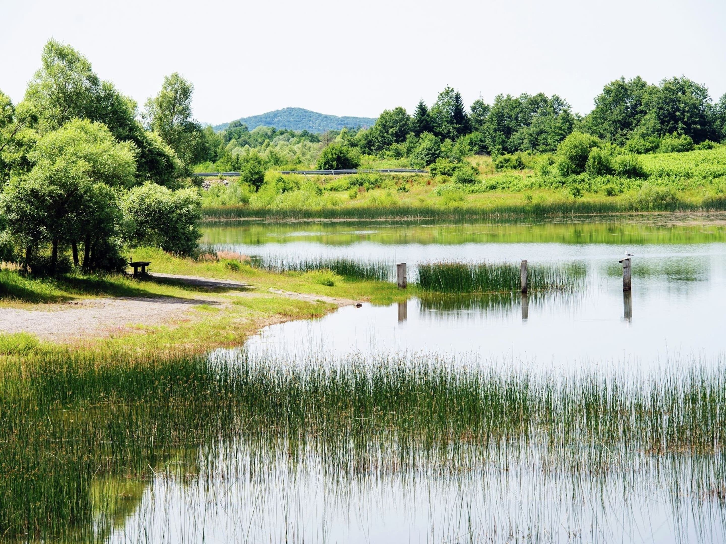 Un entorno tranquilo junto al lago, con un banco y un sendero que lleva al agua.