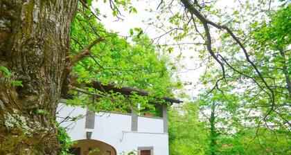 Holiday Home With Shared Pool