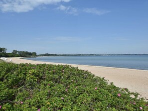 Une plage avec un rivage sablonneux et une végétation verdoyante et luxuriante au premier plan.