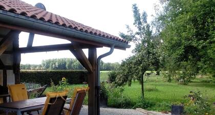 Cozy Holiday Home in Droyes North France With Terrace
