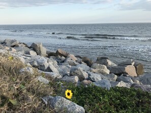 A rocky shoreline with waves crashing onto the rocks and a single yellow flower in the foreground.