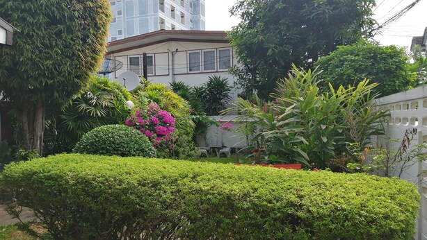 Un jardín bien cuidado con diversas plantas y un seto recortado al frente.