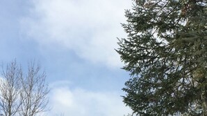 星評価なしの画像、5 / 15、ボタン