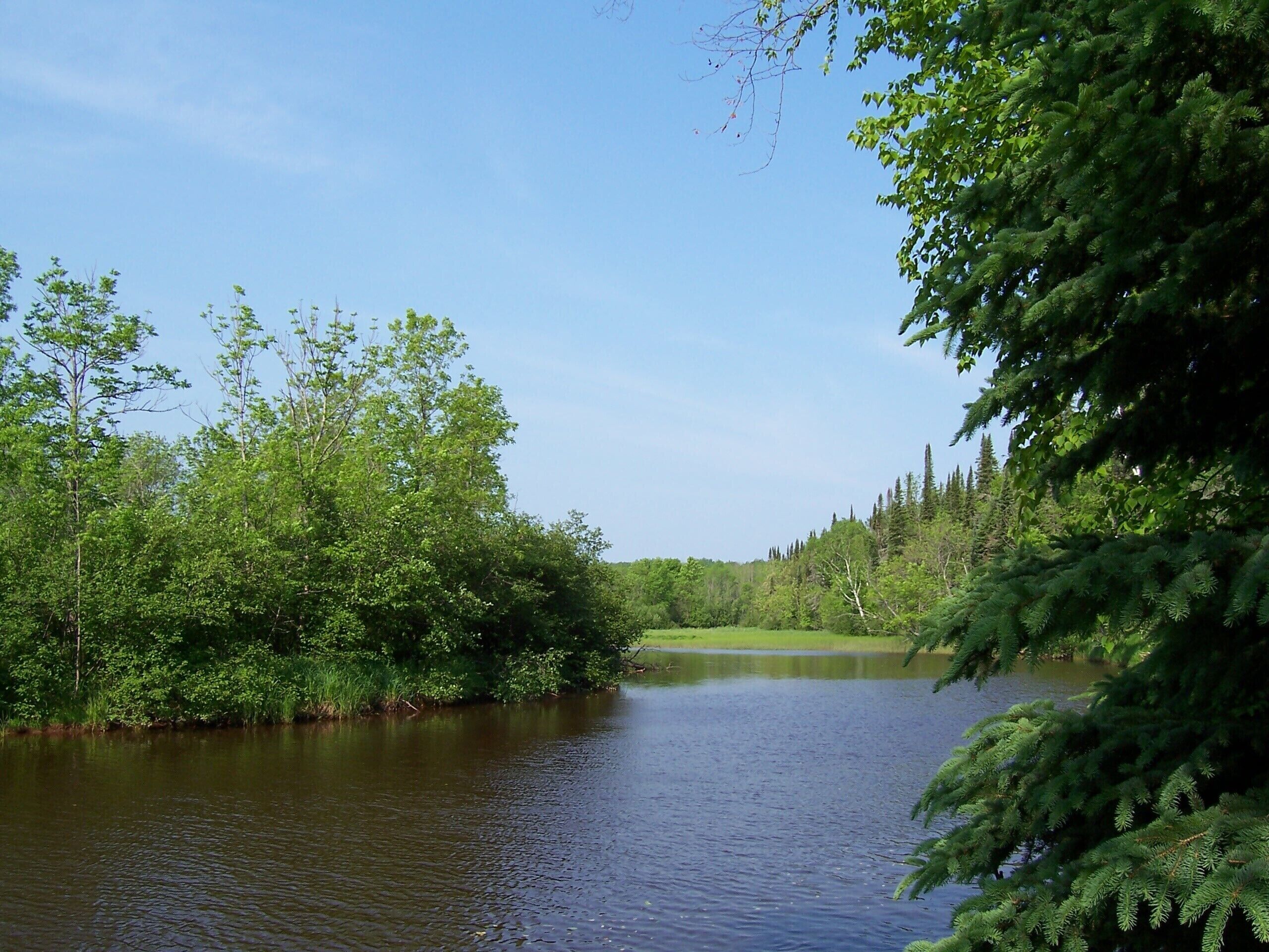 A serene river surrounded by dense greenery and trees.