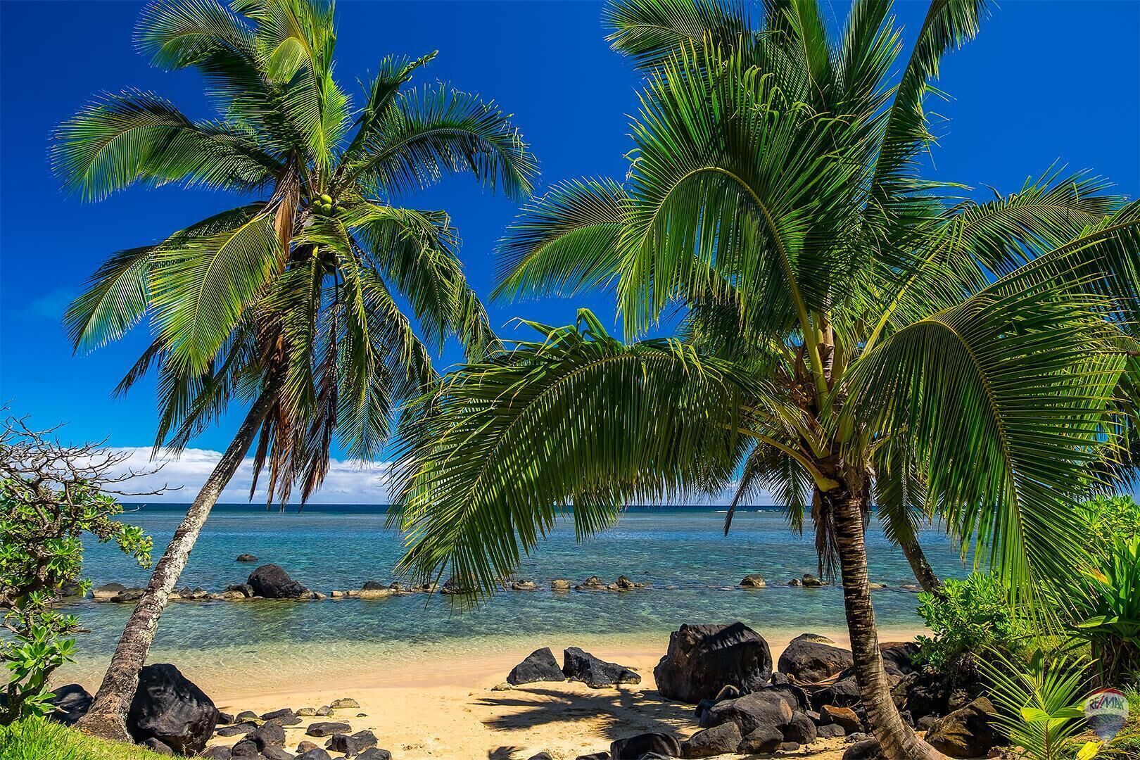 Condo, Multiple Beds, Ocean View (Pali Ke Kua #241) | Beach