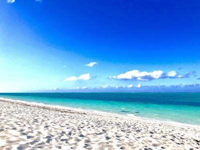 Paradise Breeze Penthouse- Majestic Ocean Views -Central Location