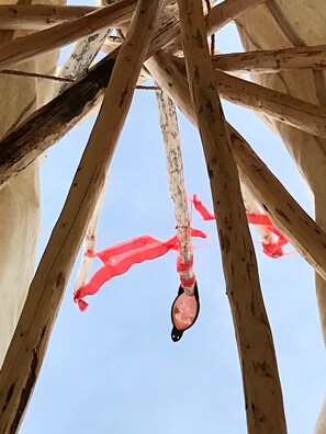 Niet-geclassificeerde afbeelding, 3 van 7, knop