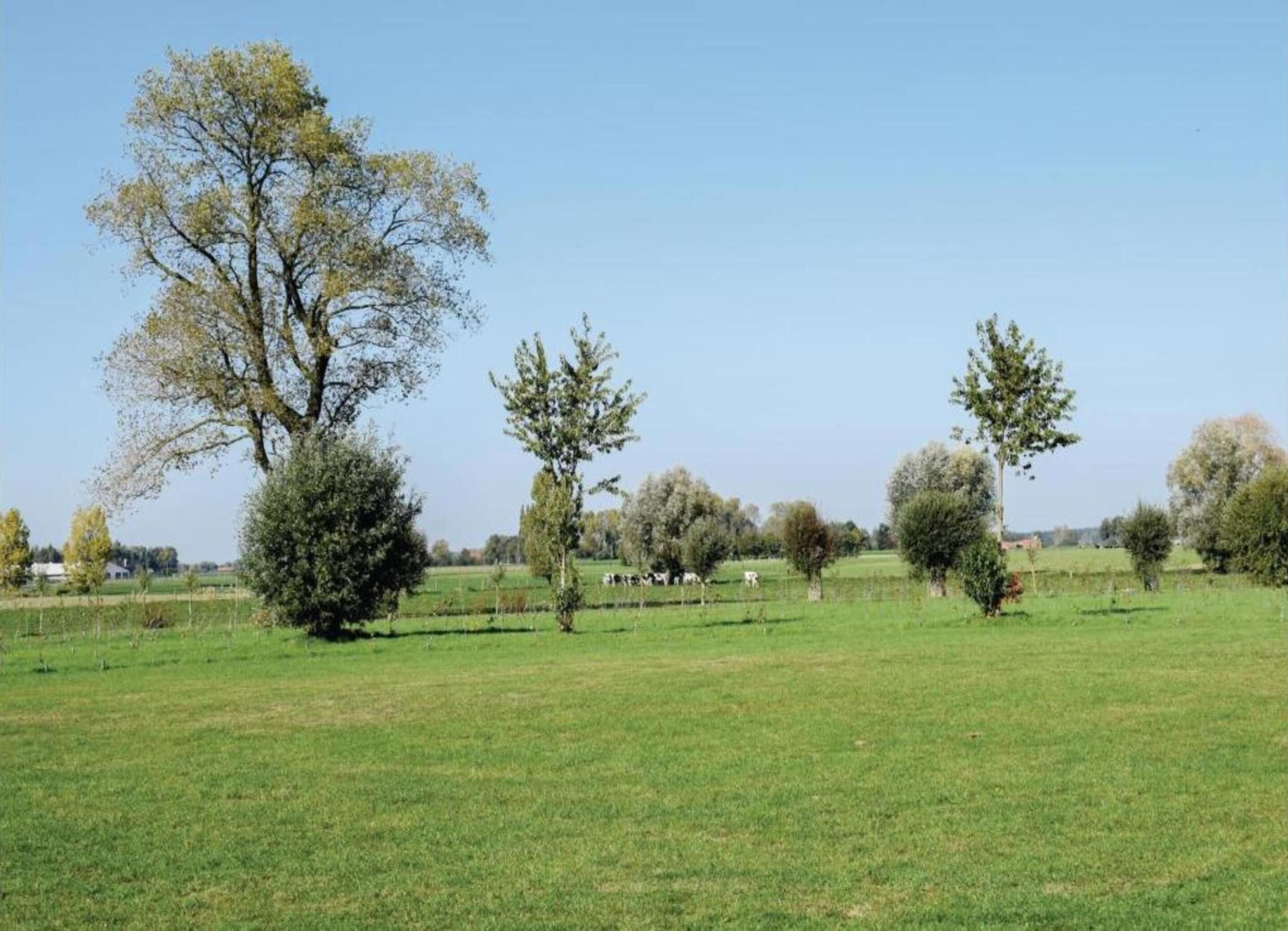 A rural landscape with open fields and scattered trees.