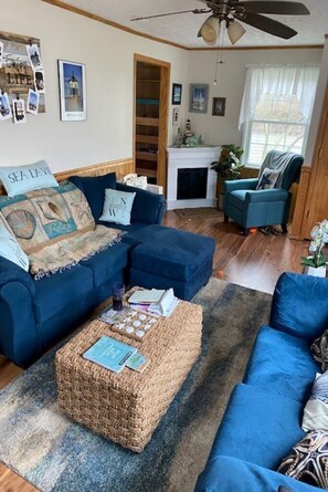 TV connectée, cheminée, livres