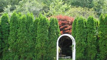 Terrein van de accommodatie