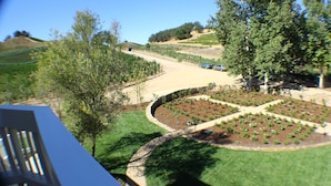 Deluxe Room, 1 Queen Bed, Balcony, Vineyard View | View from room - JUST Inn at JUSTIN Vineyards and Winery (Paso Robles)