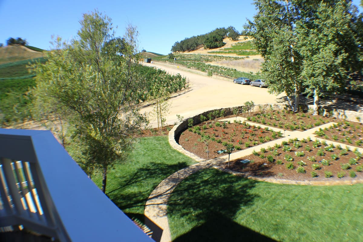 Deluxe Room, 1 Queen Bed, Balcony, Vineyard View | View from room