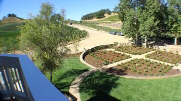 Deluxe Room, 1 Katil Ratu (Queen), Balcony, Vineyard View | Pemandangan dari bilik