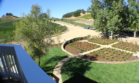 Deluxe Room, 1 Queen Bed, Balcony, Vineyard View | View from room