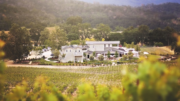 Vineyard view - JUST Inn at JUSTIN Vineyards and Winery (Paso Robles)