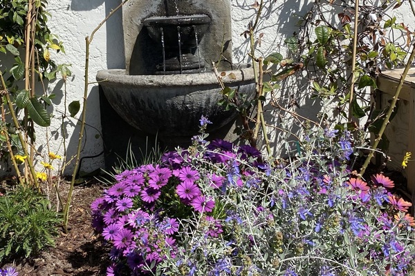 Terrein van de accommodatie