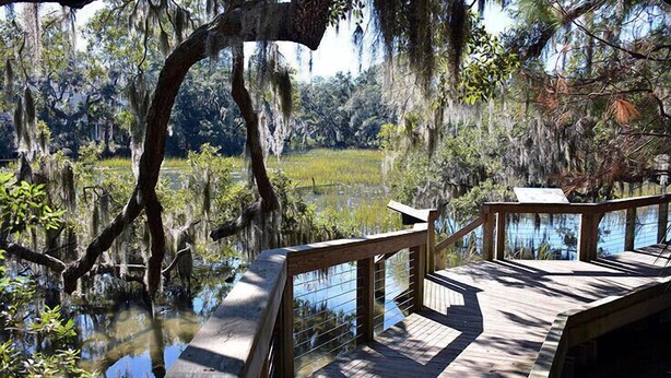 A wooden deck with railings overlooking a swampy area with water and trees.