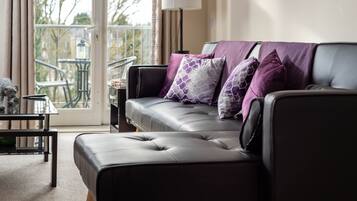 TV, Netflix, streaming services