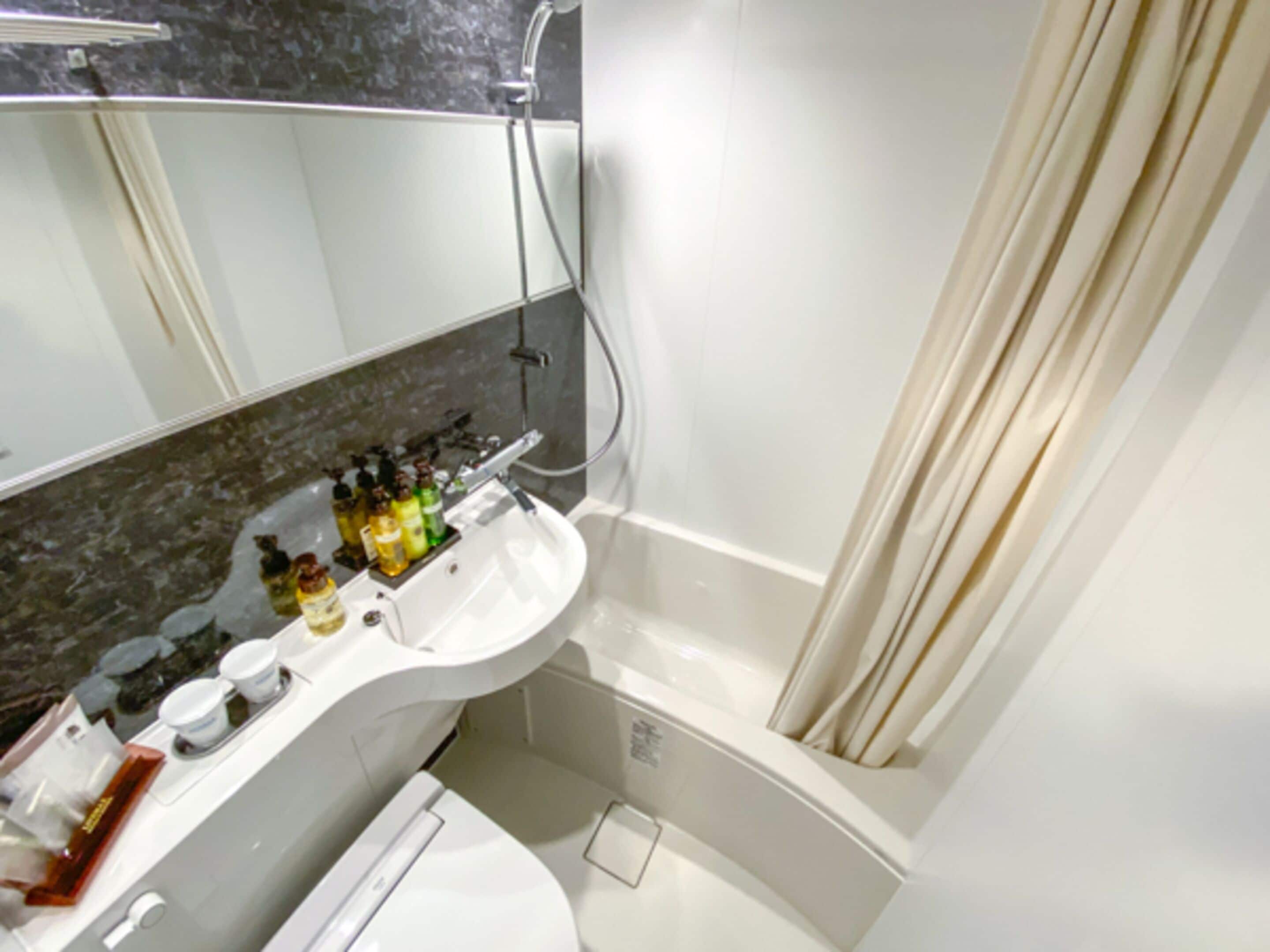 combined shower/bathtub, hair dryer, slippers, electronic bidet