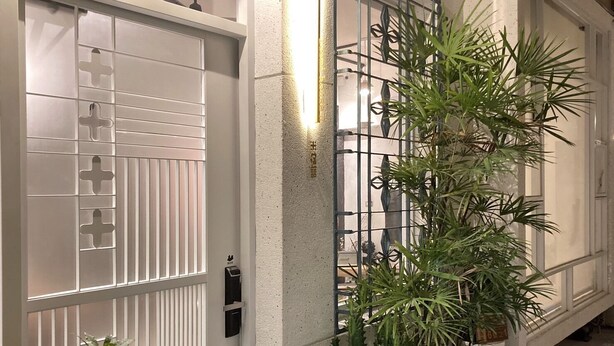 Uma porta de garagem branca com teclado de segurança e portão de metal. Há uma planta em vaso com folhas longas e finas em frente ao portão.