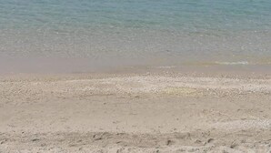 Unclassified image, 2 of 22, button - By the Sea (Kassandra)