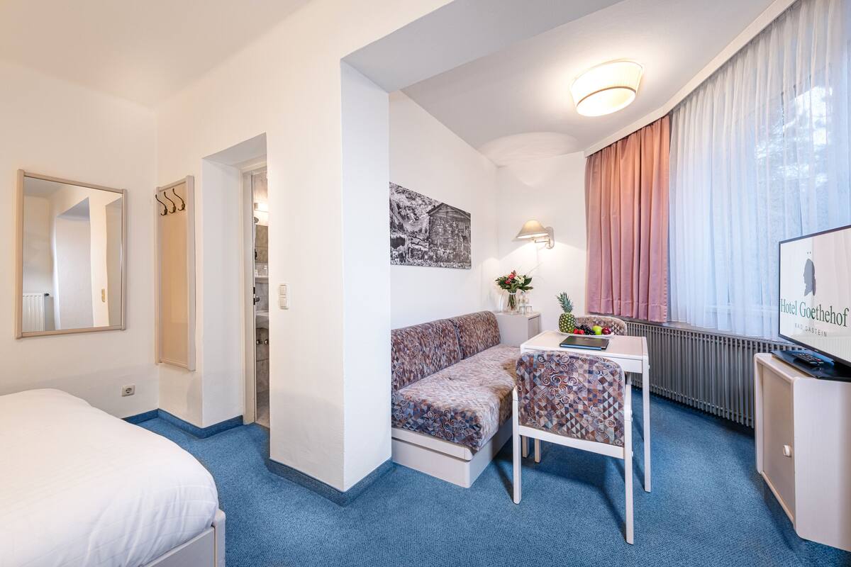 Hotellihuone, jossa on sänky, sohva, pieni pöytä maljakolla, lamppu ja televisio, jossa näkyy teksti ”Hotel Goethehof”.
