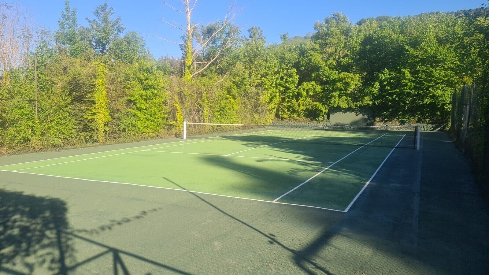 An outdoor tennis court surrounded by trees.