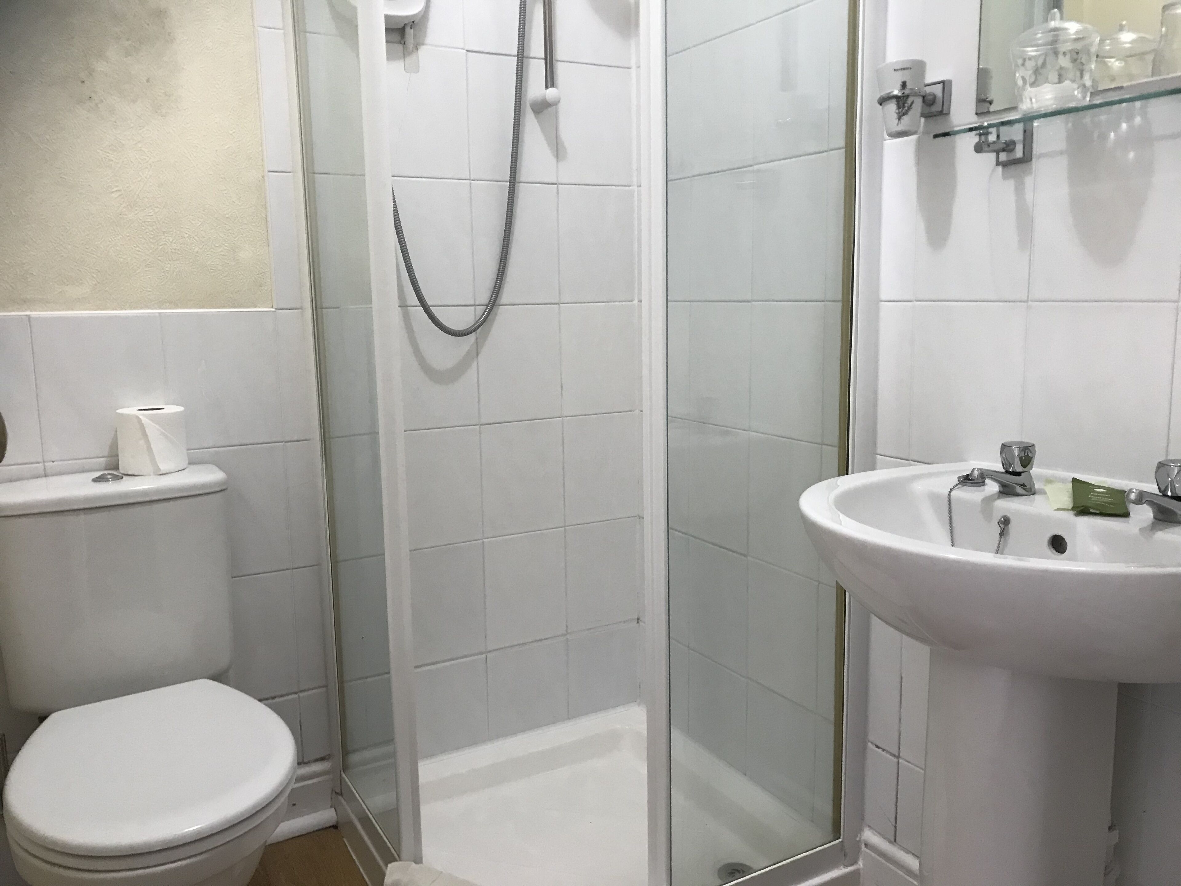 A bathroom with a toilet, a shower with a glass door, and a sink with toiletries.